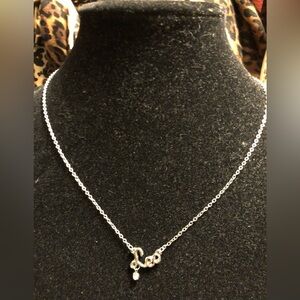 Elegant Silver Horoscope LEO Necklace